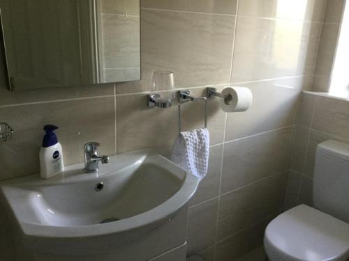 利默里克Adare Luxury Riverside Apartment的一间带水槽和卫生间的浴室
