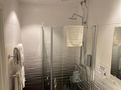 埃斯基尔斯蒂纳Hotell TunaPark的浴室里设有玻璃门淋浴
