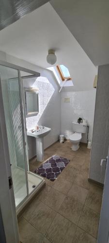 斯莱戈Yeats Village的带淋浴、卫生间和盥洗盆的浴室