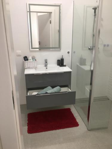 什切青SWING的浴室配有盥洗盆和带镜子的淋浴