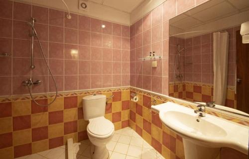 阿尔贝纳Hotel Magnolia的一间带卫生间和水槽的浴室