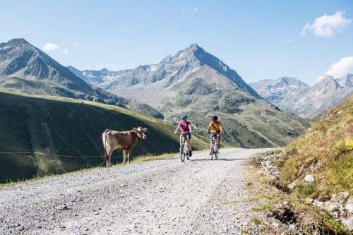 库哈台All-Suite Resort Kühtai的两个人骑着自行车在土路上,带着牛