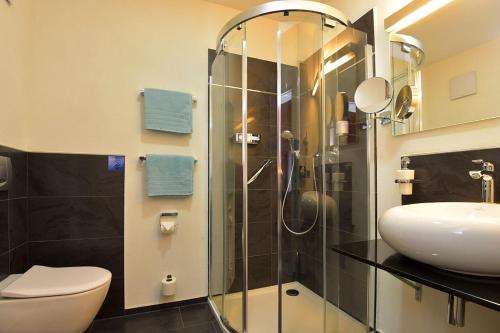 迈宁根维拉老城河畔酒店的带淋浴、卫生间和盥洗盆的浴室