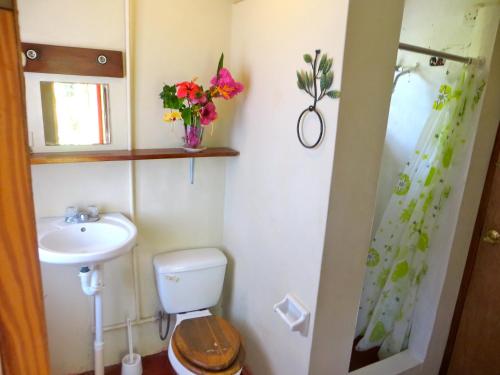 安东尼奥港La Familia Guest House and Natural Farm的一间带卫生间、水槽和鲜花的浴室