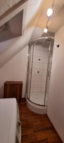 皮尔纳Süße kleine Ferienwohnung的带淋浴的浴室和玻璃门