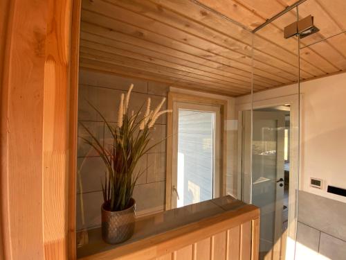 LokutiCozy house with sauna by the lake的坐在一个房间的窗户顶上的盆栽植物