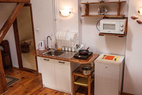 斯瓦热沃斯瓦吉沃马厩农家乐的一间带水槽和微波炉的小厨房
