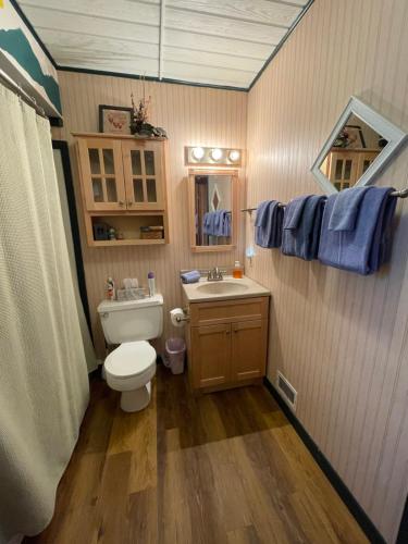 BessemerMittenwald的浴室设有卫生间、水槽和蓝色毛巾。