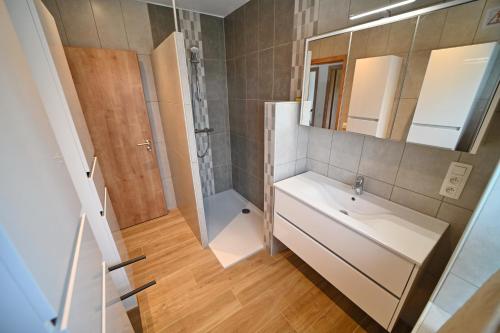 奥通La Petite Maison dans la Prairie的一间带水槽、淋浴和镜子的浴室