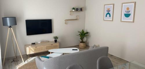 加的斯Apartamento Cadiz Centro Fabio Rufino的带沙发和电视的客厅