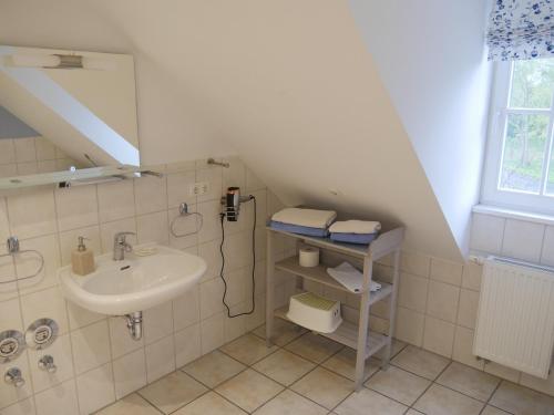 VipperowLindenhof Wohnung 3, Dachgeschoß的一间带水槽和淋浴的小浴室
