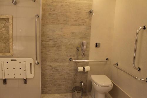 戈亚尼亚Holiday Inn - Goiania, an IHG Hotel的一间带卫生间和淋浴的浴室