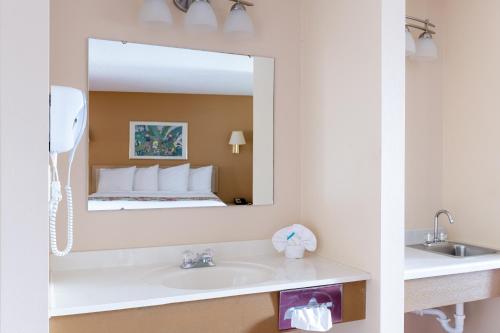威斯康星戴尔Aloha Beach Resort的一间带水槽和镜子的浴室
