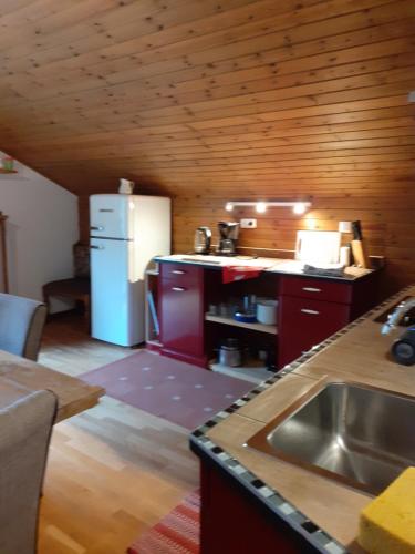 拉登泰因Four bedroom appartement near Bad Kleinkirchheim的厨房配有水槽和白色冰箱