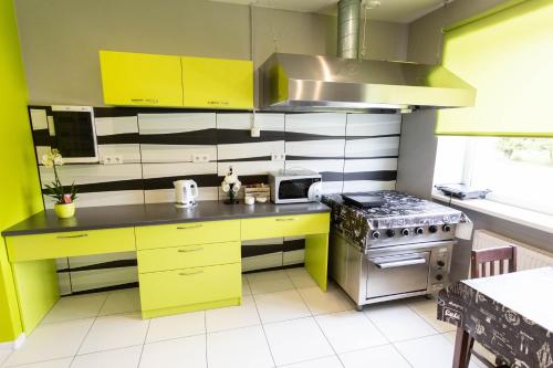 RūjienaLauvas Līcis的厨房配有黄色橱柜和炉灶。