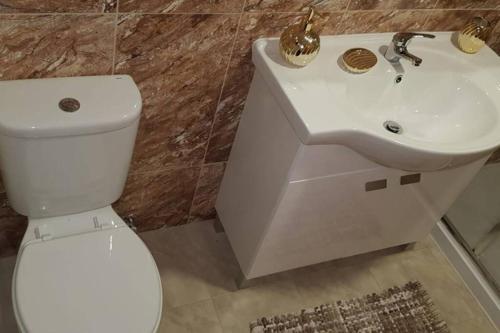 萨布罗萨Casa Madureira - Paraíso centenário do Douro的浴室配有白色卫生间和盥洗盆。