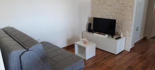 扎达尔Apartment Sanja的带沙发和平面电视的客厅
