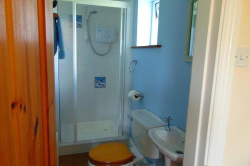 利默里克Sporting Lodge Shanagolden的带淋浴、卫生间和盥洗盆的浴室