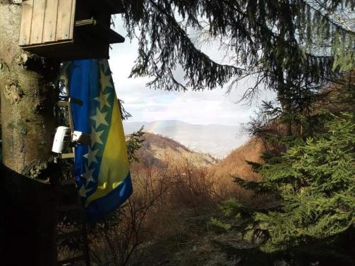 维索科Apartment STONE的悬挂在森林中树上的旗帜