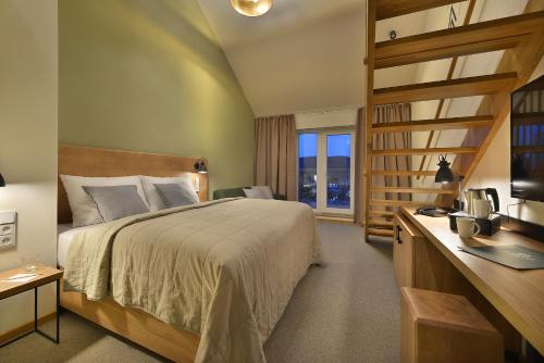 伏尔塔瓦河畔利普诺Hotel Element的一间卧室配有一张床和一张书桌及电视