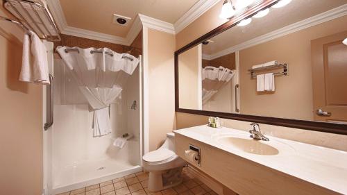 海莱夫尔母拉吉贝斯特威斯特PLUS酒店的一间带水槽、卫生间和镜子的浴室