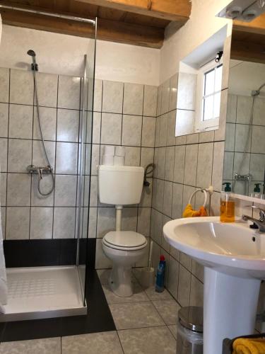 LombaVivenda Flores - Casa Hortensia的带淋浴、卫生间和盥洗盆的浴室