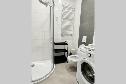 卢布林Easy Rent Apartments - BUSINESS CENTER 126的一间带卫生间和洗衣机的浴室