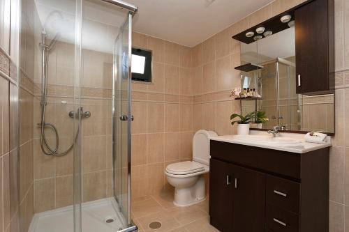 塔布阿苏Douro House的带淋浴、卫生间和盥洗盆的浴室