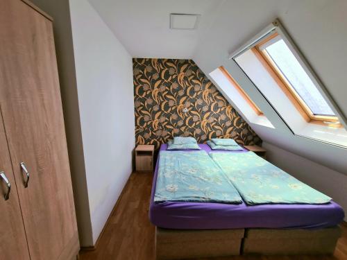索普隆肖普朗阿尼塔公寓酒店的一个小房间的小床,设有窗户