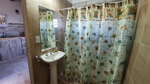 维多利亚Cabañas Atardecer en Victoria的一间带水槽和淋浴帘的浴室