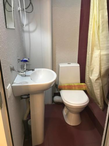 古达乌塔Guest House Palmovaia gavan的浴室配有白色卫生间和盥洗盆。