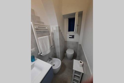泰尔莫利Blue Sail Apartment的一间带卫生间和水槽的小浴室