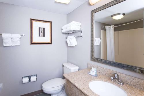 利斯堡利斯堡克拉丽奥酒店及会议中心 的一间带卫生间、水槽和镜子的浴室