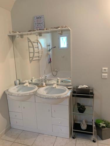 AnianeMAS FATINOU的一间带两个盥洗盆和大镜子的浴室