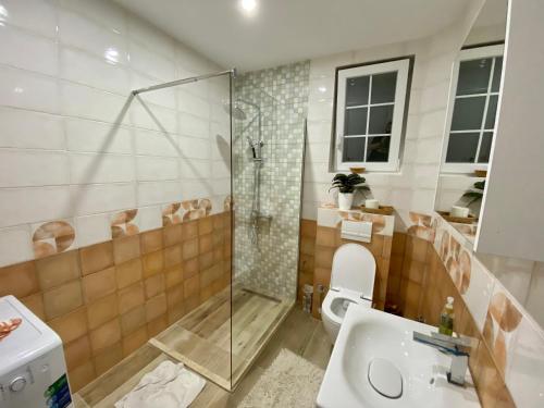 普里什蒂纳Convini Bed & Bathroom Homestay的带淋浴、卫生间和盥洗盆的浴室