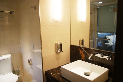 南京南京凯宾酒店公寓连锁新街口店的一间带水槽、卫生间和镜子的浴室