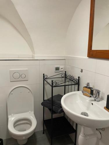 特热比奇Apartmany u Synagogy的一间带卫生间和水槽的浴室