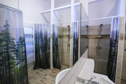 布拉索夫Viva la Vida Hostel的带淋浴、卫生间和盥洗盆的浴室