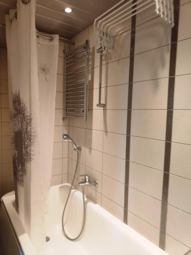 塔林Majaka Apartment的带淋浴和浴缸的浴室
