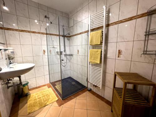 上柯尼希山麓米尔巴赫Haus Bodner-Scherer的带淋浴和盥洗盆的浴室