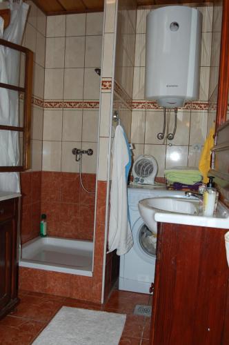 摩拉瓦托普利采Balajceva domačija - Moravske Toplice的带淋浴、盥洗盆和浴缸的浴室
