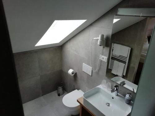 泰尔拉诺Pension Runer的浴室配有卫生间、水槽和天窗。