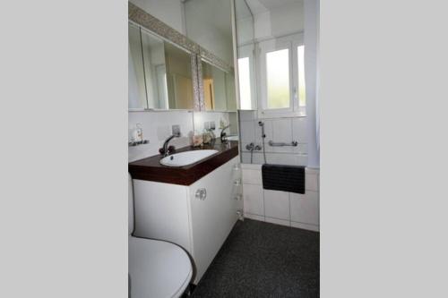 苏黎世Turicum Apartment mit Balkon und Parkplatz的白色的浴室设有卫生间和水槽。