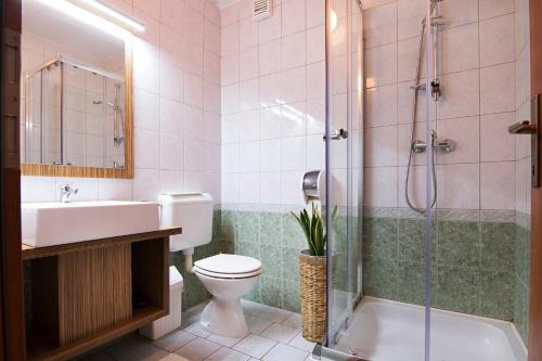 MartjanciRestavracija in prenočišča ČARDA的浴室配有卫生间、盥洗盆和淋浴。