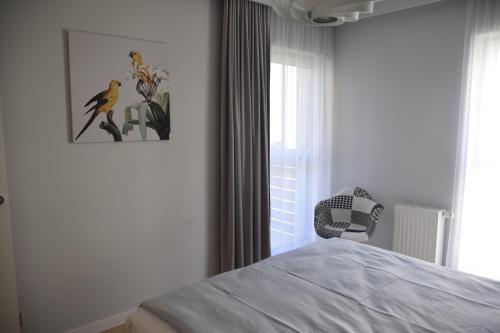 托伦Apartament Pod Papugami的卧室配有一张床,墙上挂着鸟图