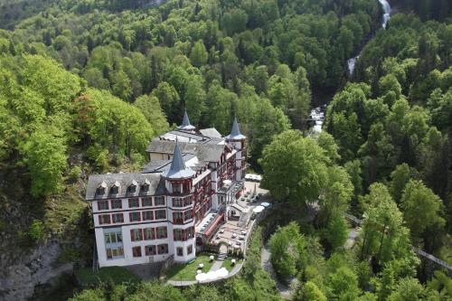布里恩茨吉特霸赫酒店的森林中央城堡的空中景观