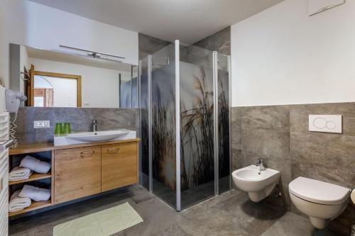 SlingiaZangerlehof的带淋浴、卫生间和盥洗盆的浴室