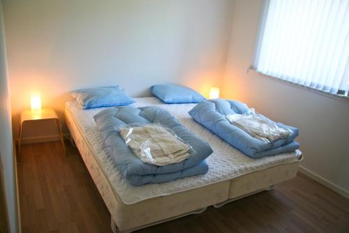 莱斯Gydensgaard ferielejligheder på Læsø的一张带蓝色毯子和枕头的床