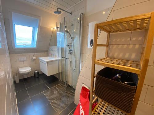 威克奥夫弗尔Strandkrabbe的带淋浴、卫生间和盥洗盆的浴室