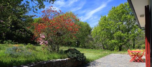 PloulechAux Arbres Chanteurs的一座带红色长凳的院子和一棵红花树